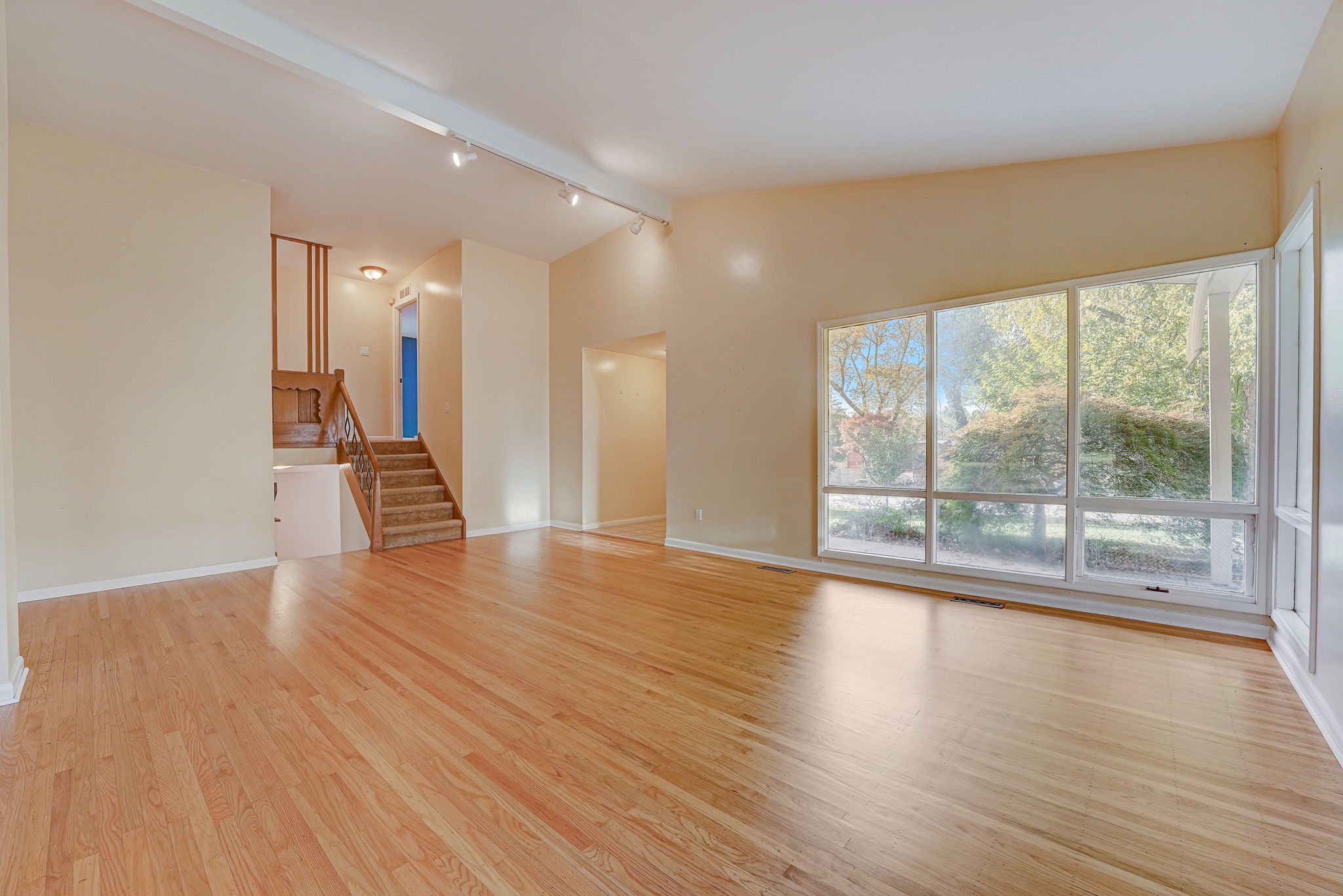  Cobden Rd -009