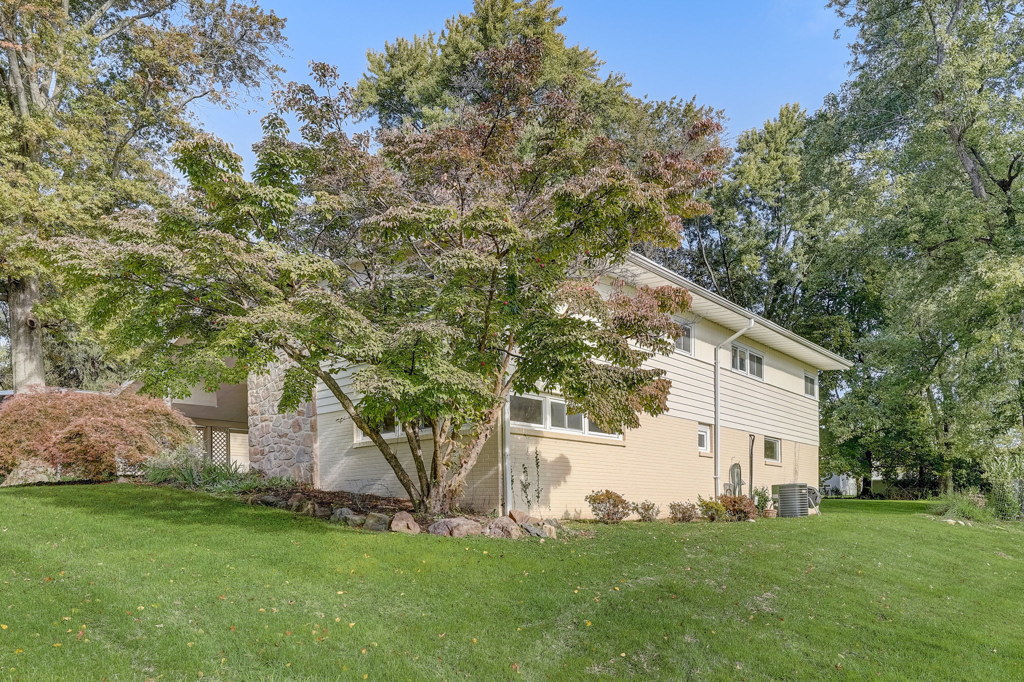  Cobden Rd -003