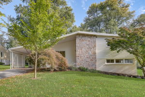  Cobden Rd -004