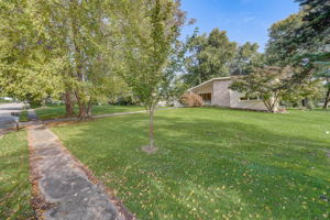  Cobden Rd -001