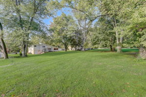  Cobden Rd -039