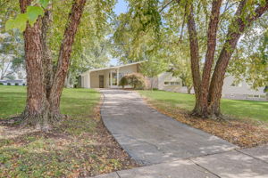 Cobden Rd -002