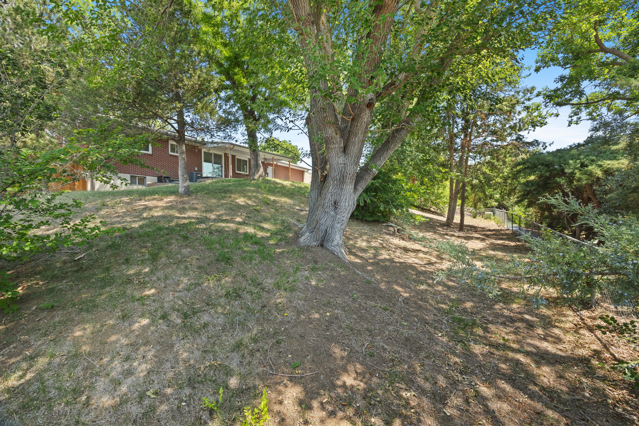  Photo 41