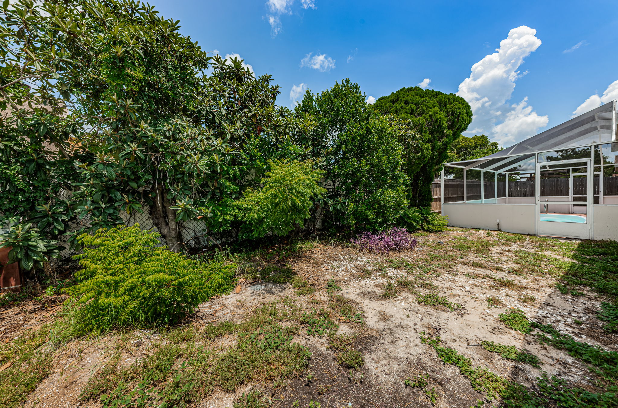 Backyard2