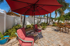 Backyard1