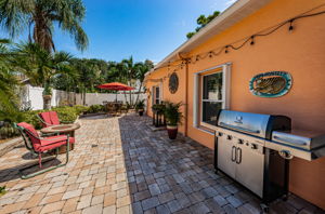 Backyard3