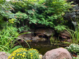  Photo 46