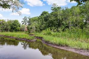 Creek View