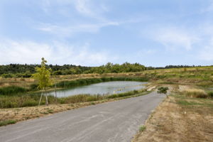  Photo 50