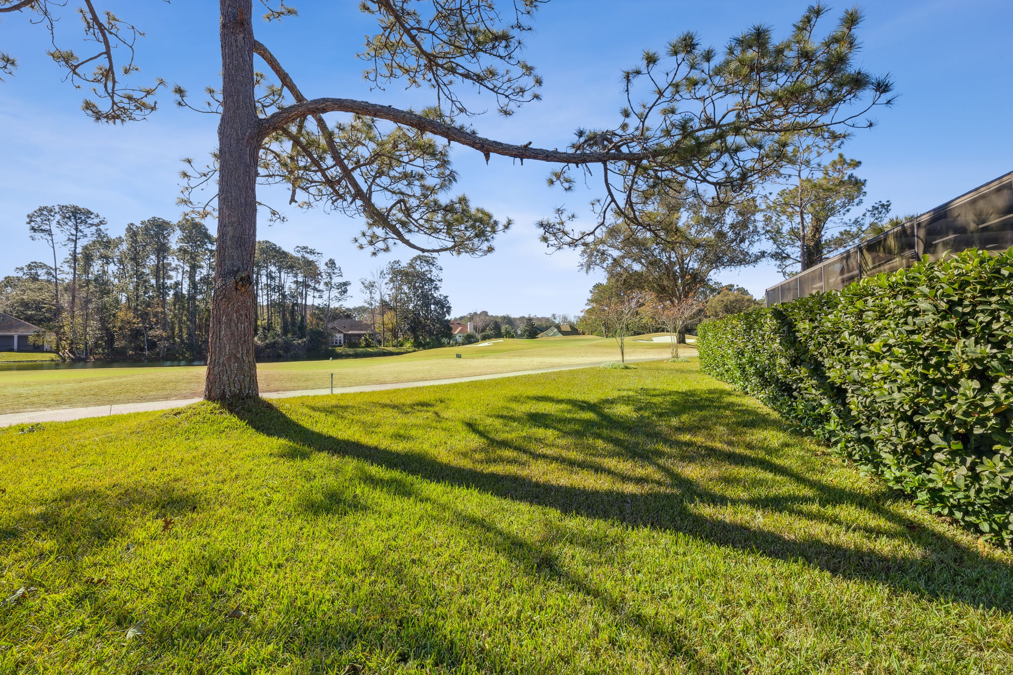Backyard