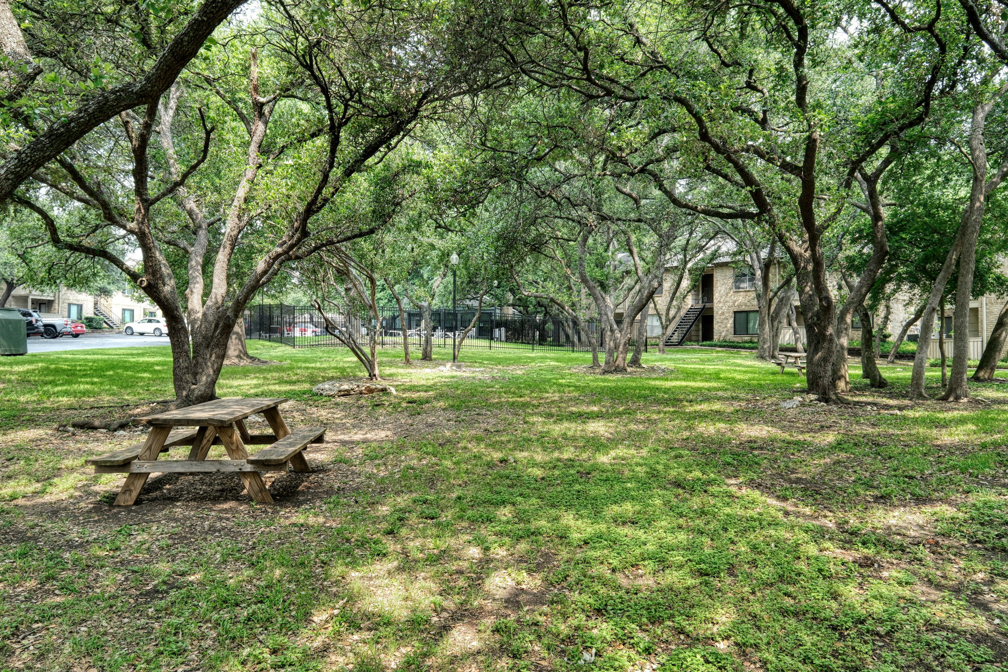 Green Area and Picnic Tables