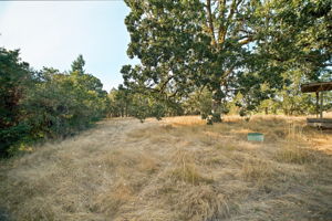  Photo 34