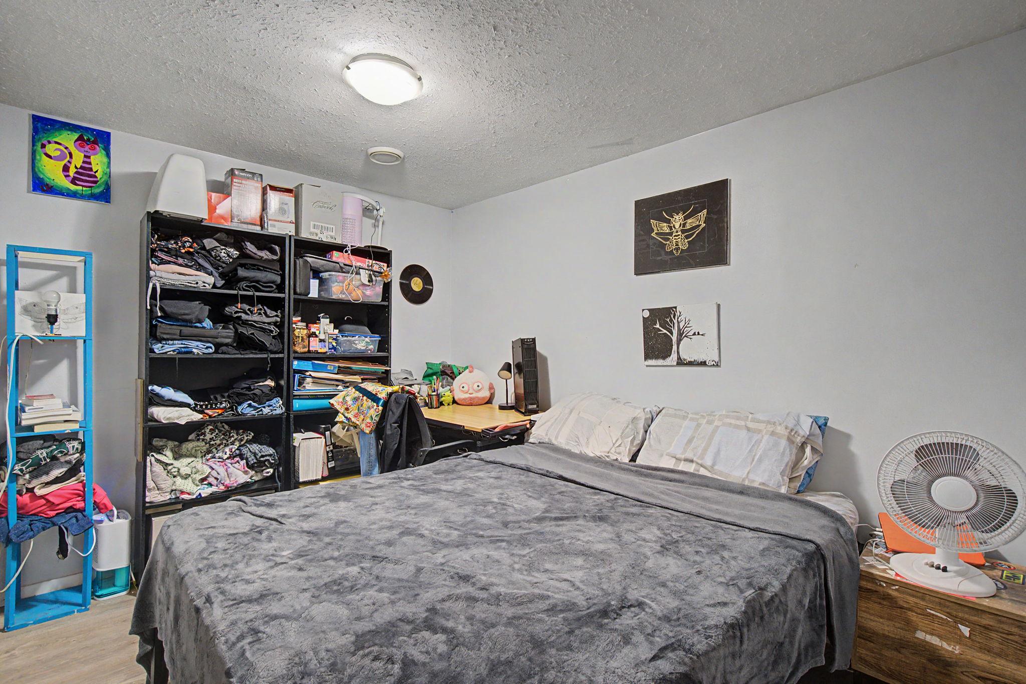  Photo 44