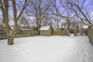  Photo 47