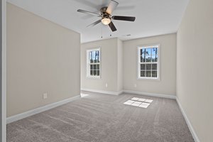  Photo 41
