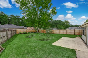 Back Yard