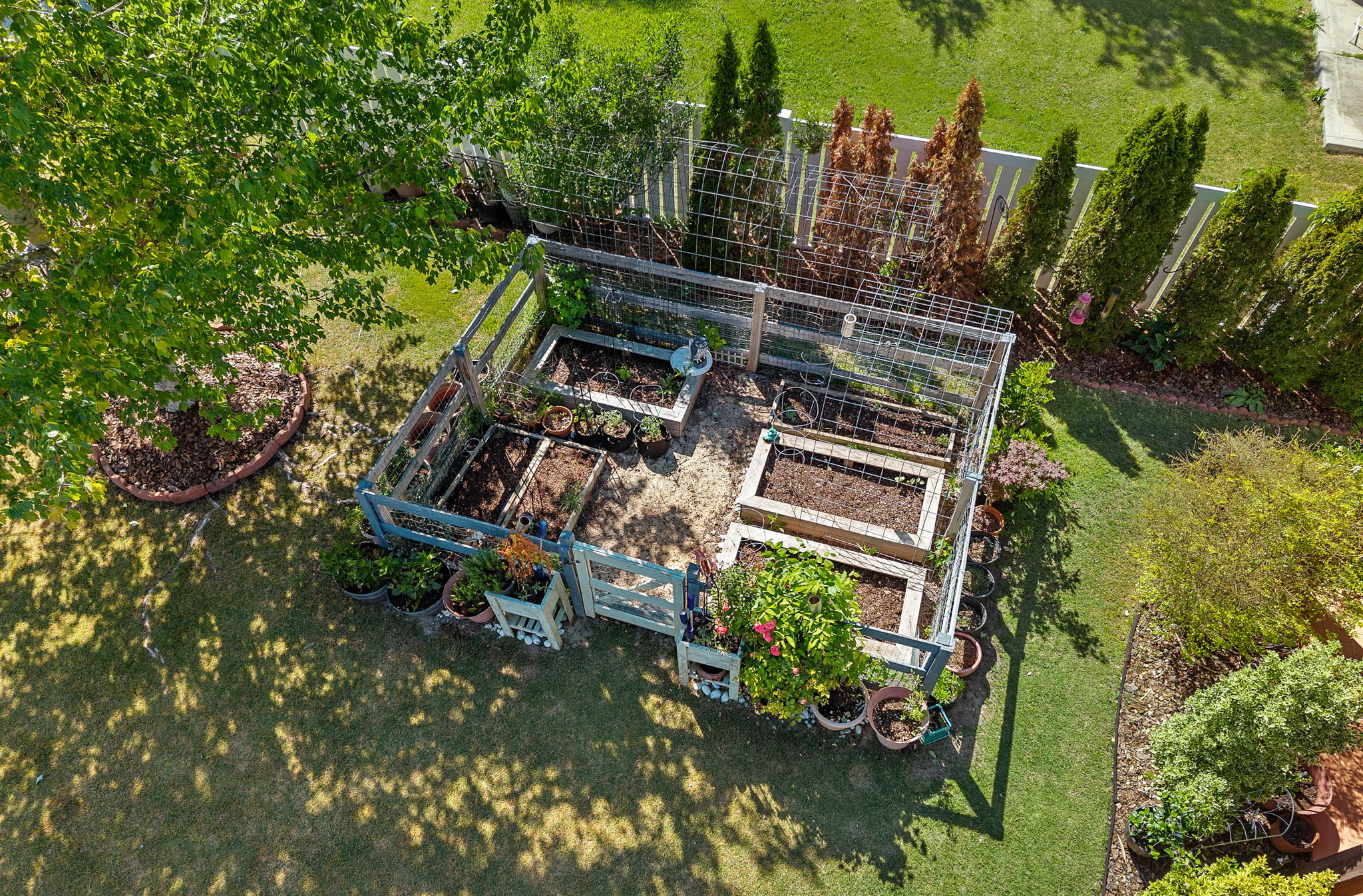 Raised Bed Enclosed Vegetable Garden
