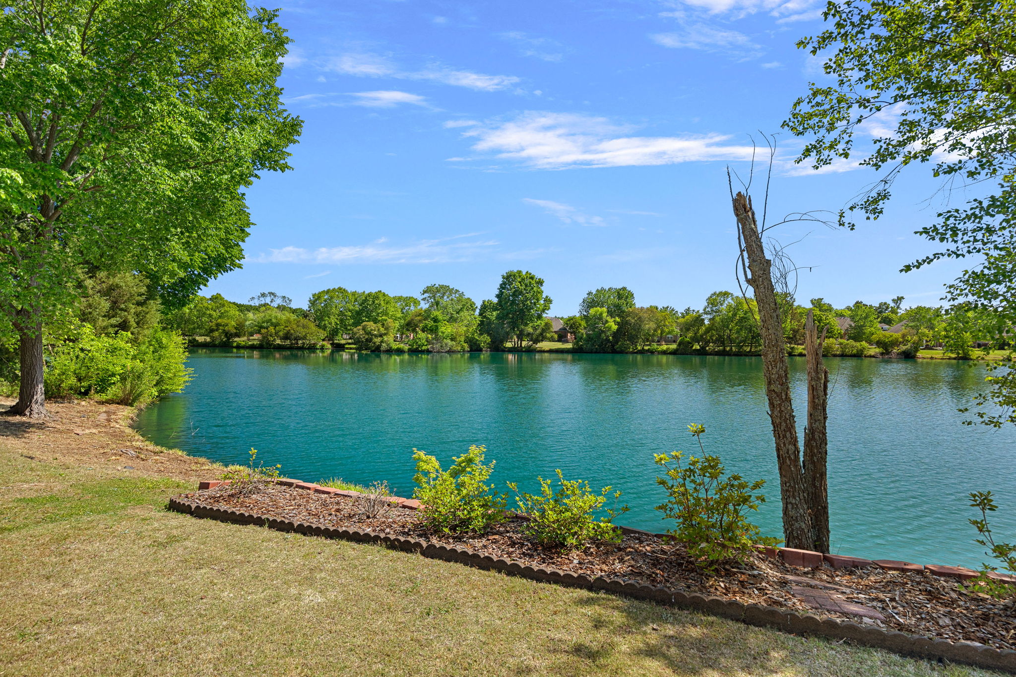 Pond View