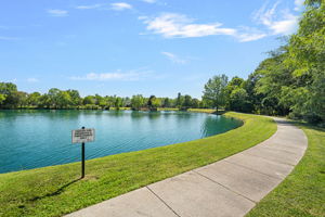 Pond Walk