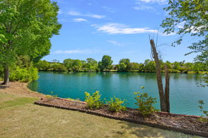 Pond View