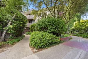 001_F8_8246 Shelter Creek Ln 8246
