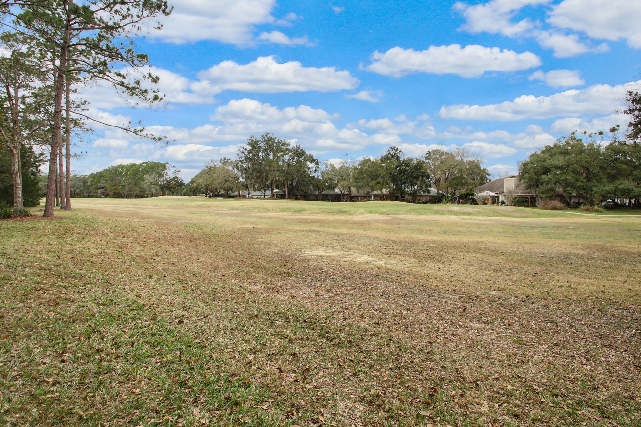 Golf Course View