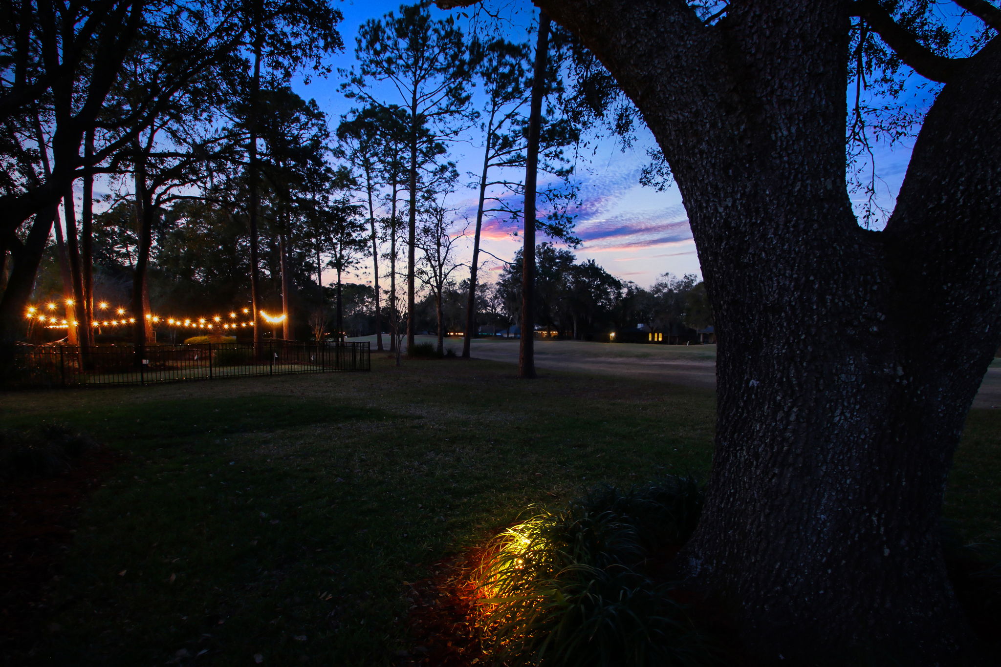 Twilight