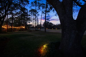 Twilight