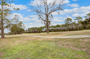 Julington Creek Plantation