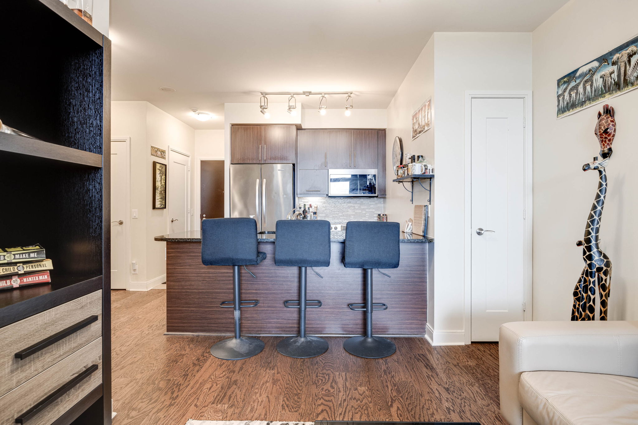 Toronto property showcase — delivered property photograph 8