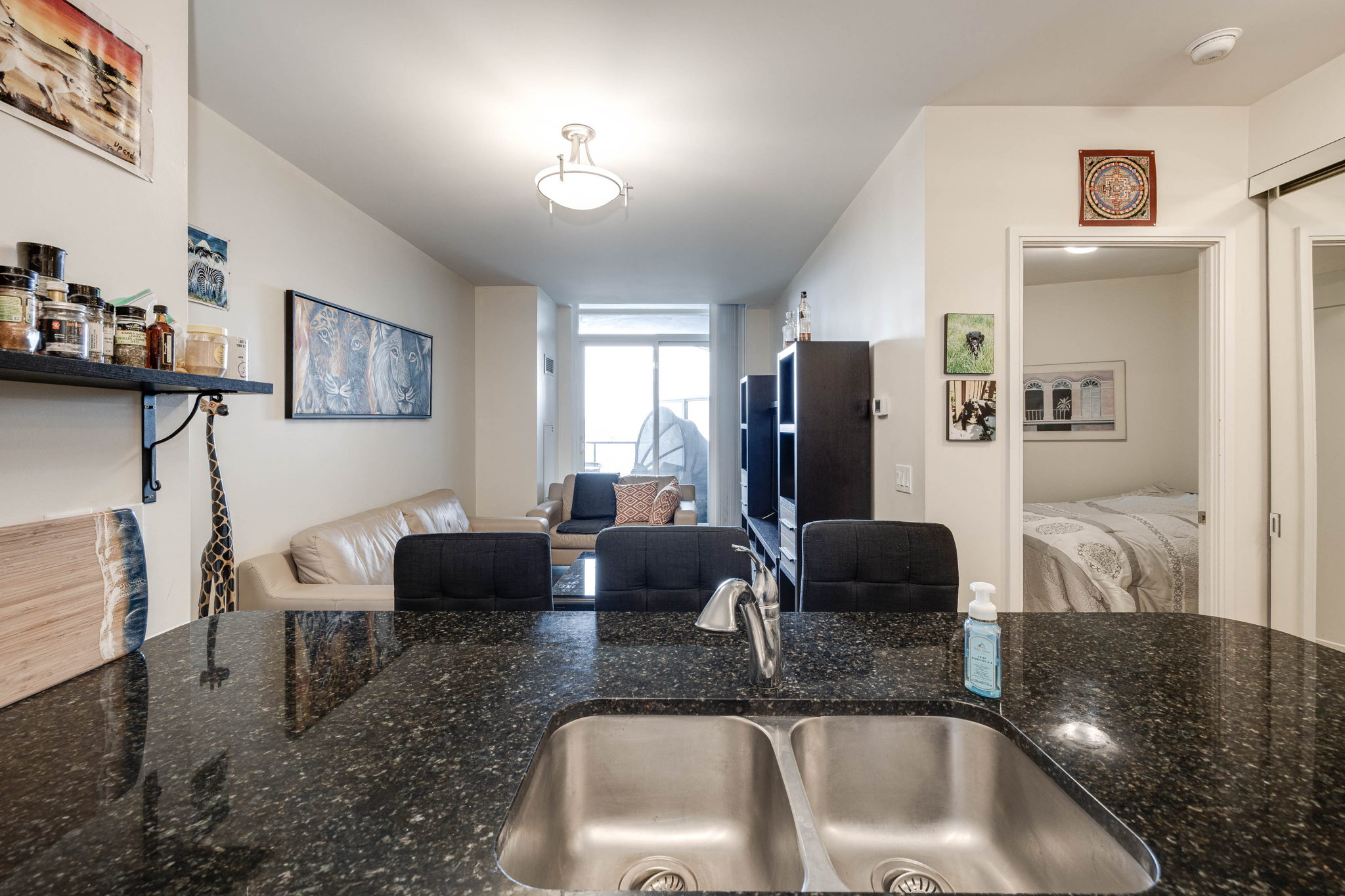 Toronto property showcase — delivered property photograph 16