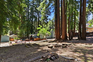  Photo 45