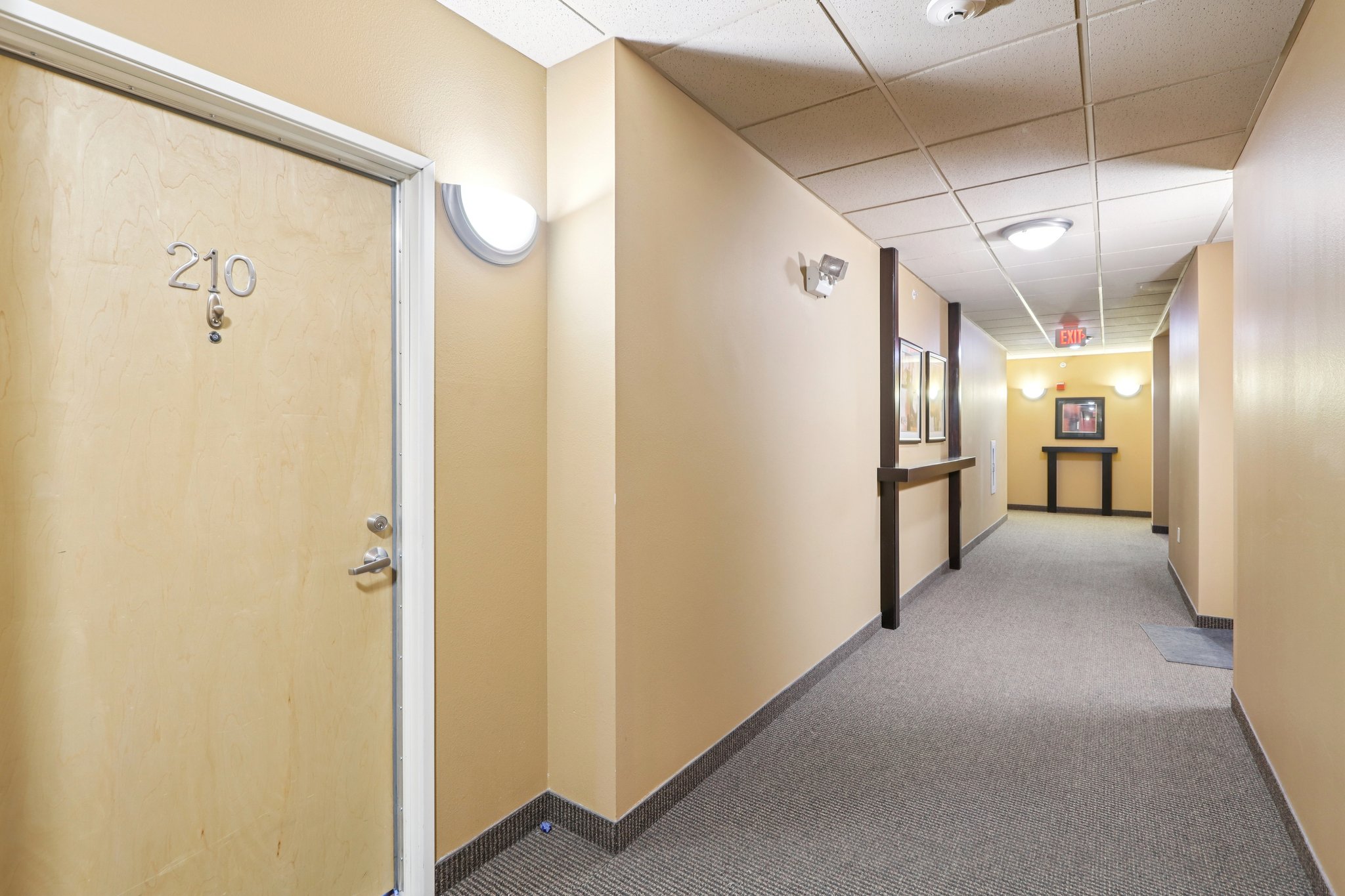 Mayo Dr 210-S2402-004.jpg