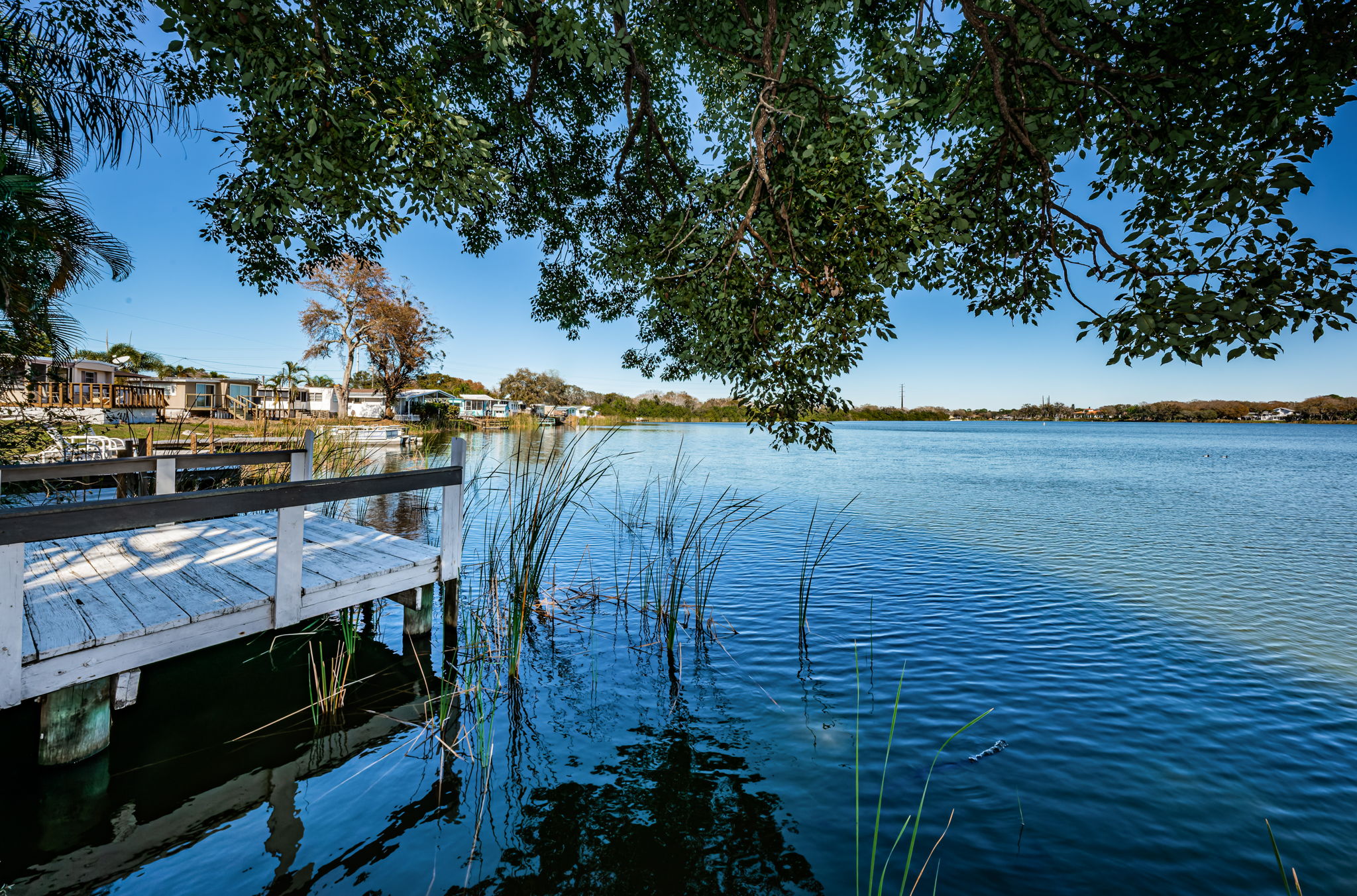 Dock Water View4