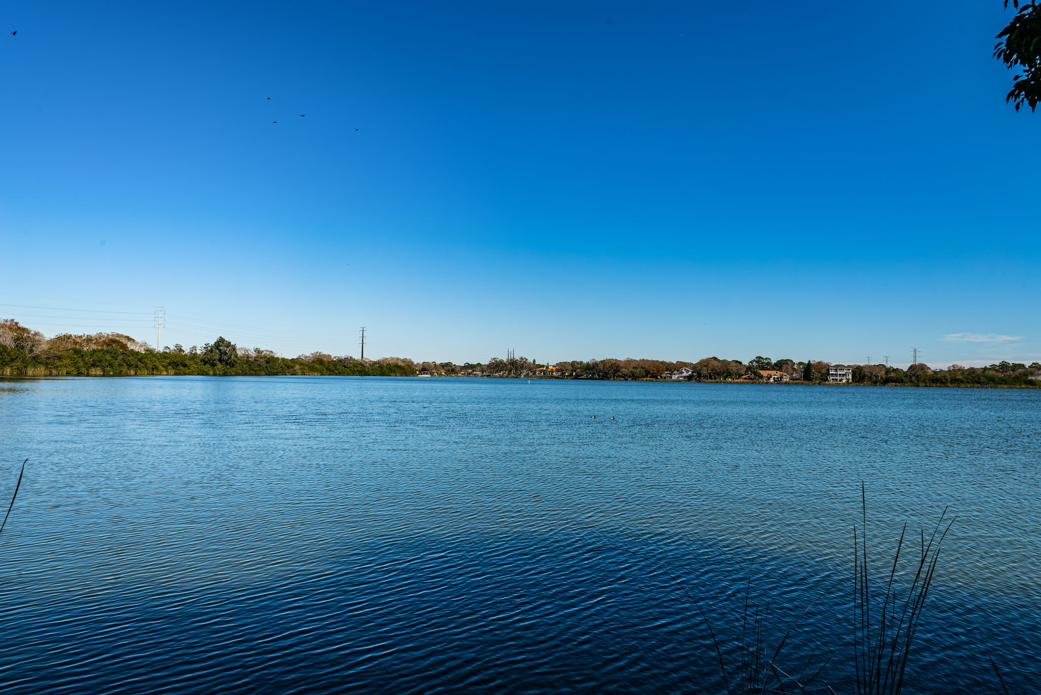 Dock Water View3