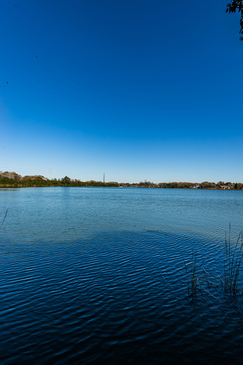 Dock Water View2