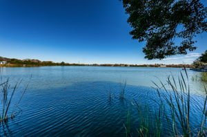 Dock Water View1