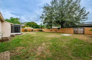 Backyard 1A
