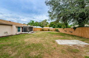 Backyard 1B