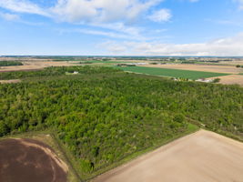  Photo 52