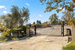 827 Lachman Lane-3