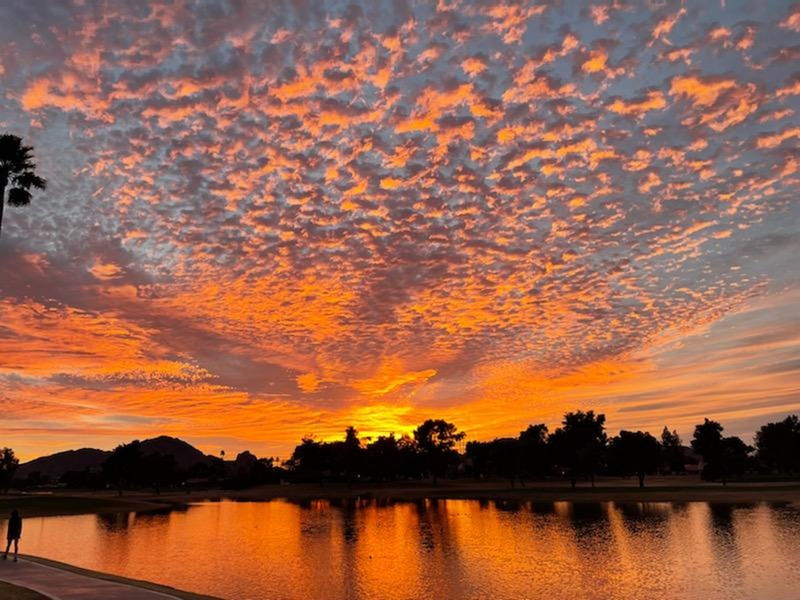 Sunsets along the community Walking Green Path