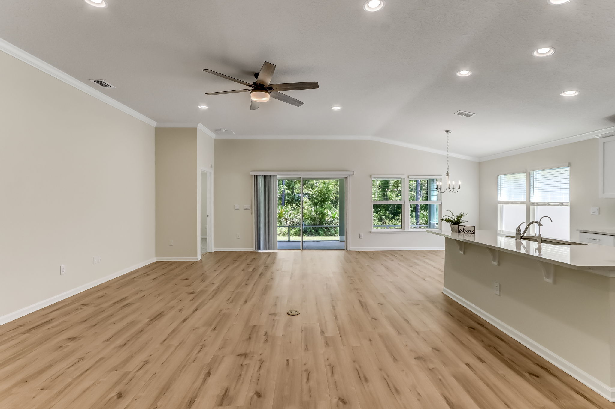 Living Room/Kitchen