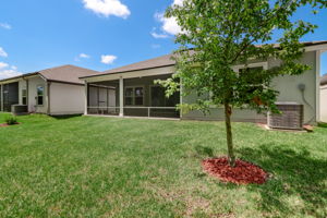 Back of Home