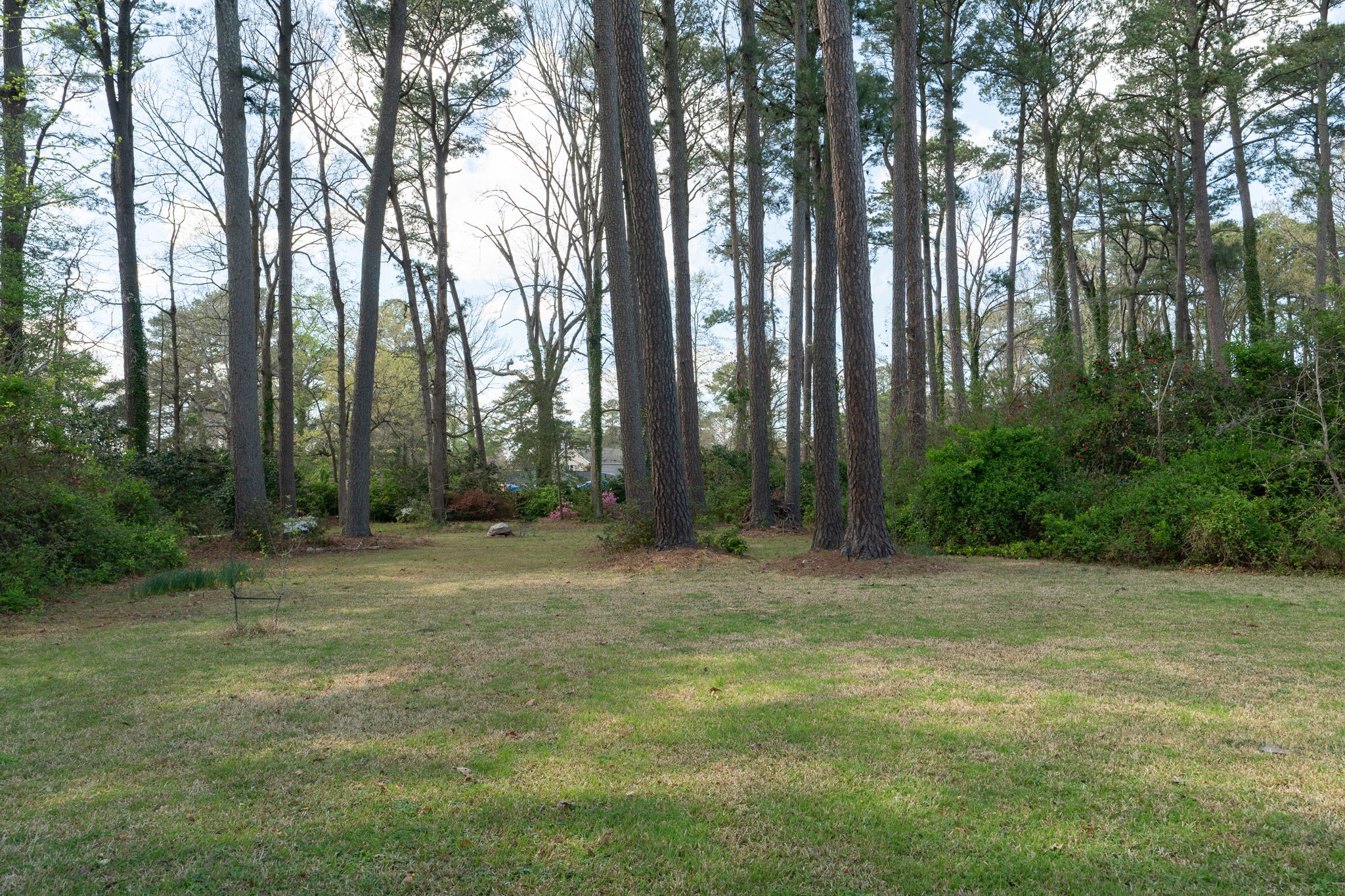 828 E Sparrow Rd, Virginia Beach, VA 23464, USA Photo 57