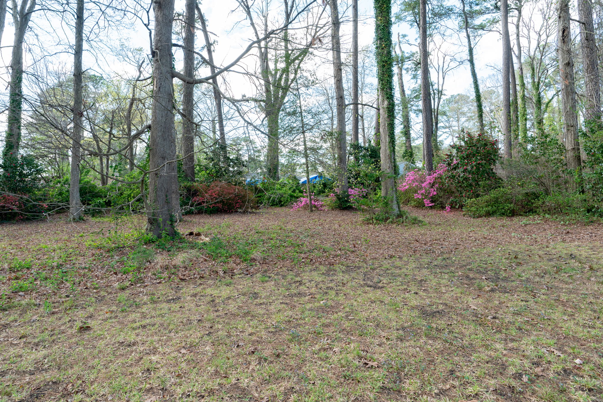 828 E Sparrow Rd, Virginia Beach, VA 23464, USA Photo 59