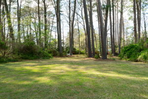 828 E Sparrow Rd, Virginia Beach, VA 23464, USA Photo 53