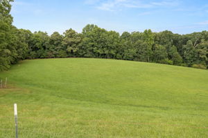Image-76