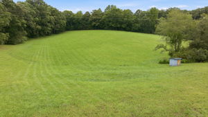 Image-101