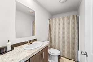  Photo 43